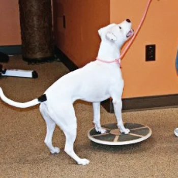 Pet Suns, Kaķis 360 Grādu Līdzsvaru Šūpuļzirgs Koka Apaļas Core Muskuļu Apmācību Izturību, Veiklību Pet Rotaļlietas, Suņu Kultūrisms Piederumi